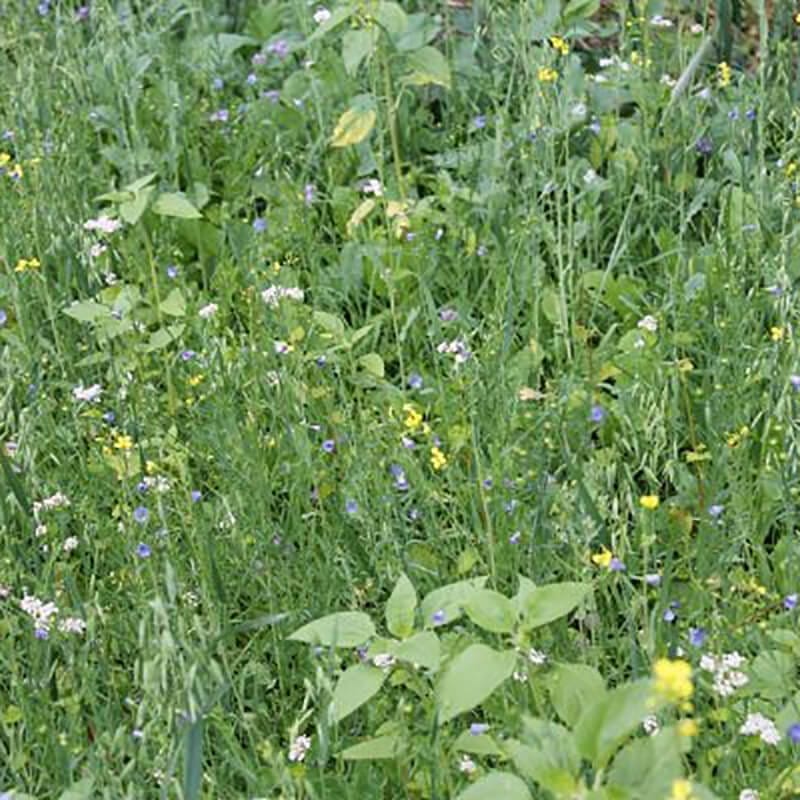 biotoopmengsel kleinwild 1kg