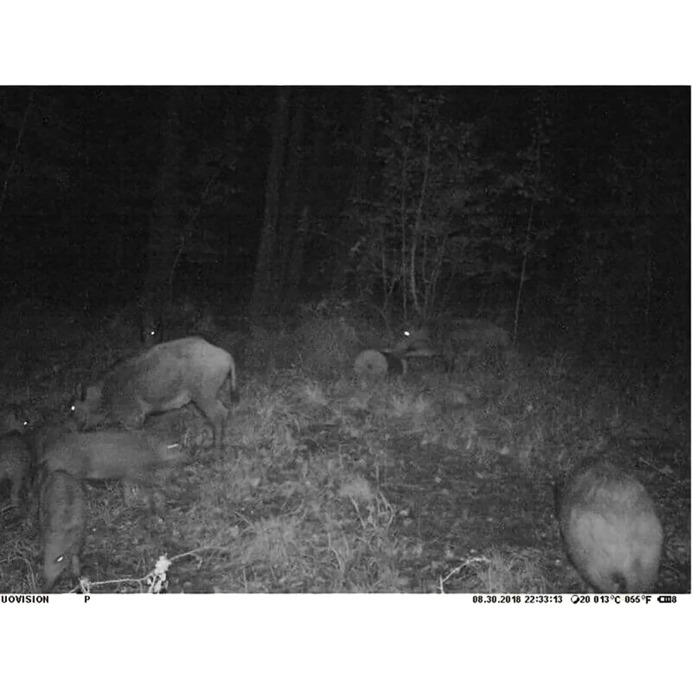 uovision uv557 (8 mp)