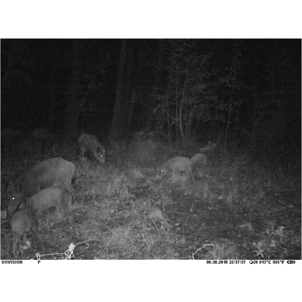 uovision uv557 (8 mp)